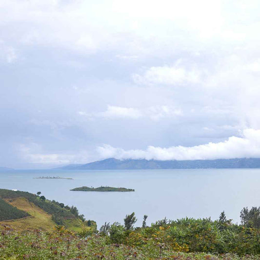 The calm edge of a lake near the Cyesha washing station in Rwanda, representing the origin of our Rwandan Cyesha coffee.